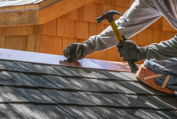 Best Roof Moss and Algae Removal  in Russellville, AR